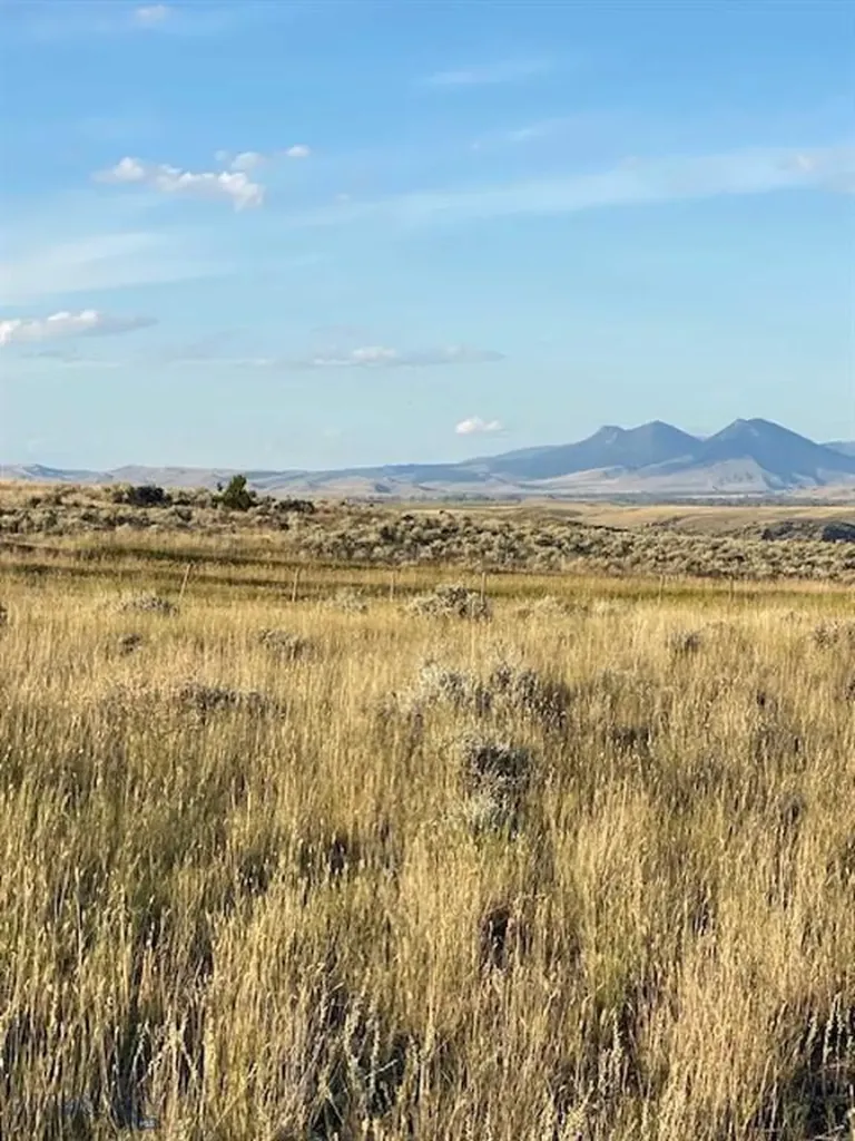 Tbd Old Flathead Creek Road Wilsall MT 59086