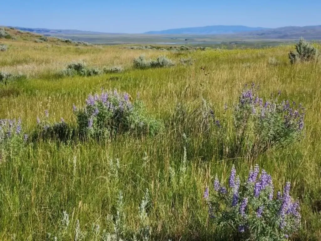 Tbd Old Flathead Creek Road Wilsall MT 59086