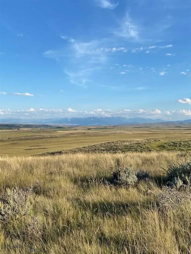 Tbd Old Flathead Creek Road Wilsall MT 59086