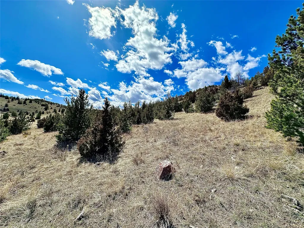 321 Shining Mountains Ennis MT 59729