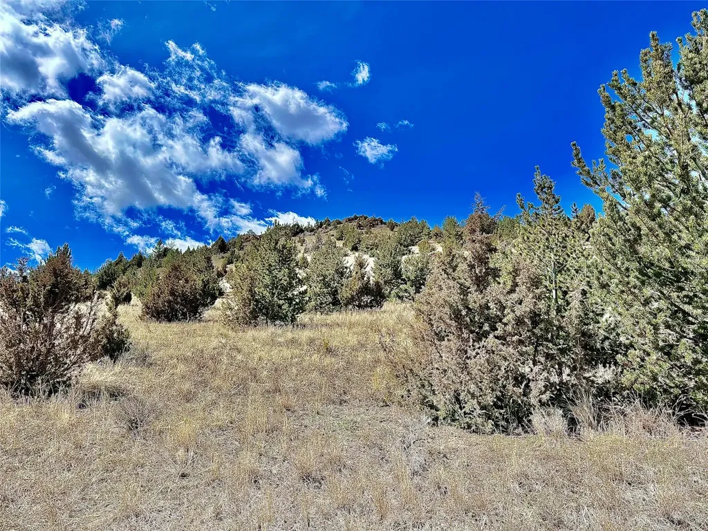 321 Shining Mountains Ennis MT 59729