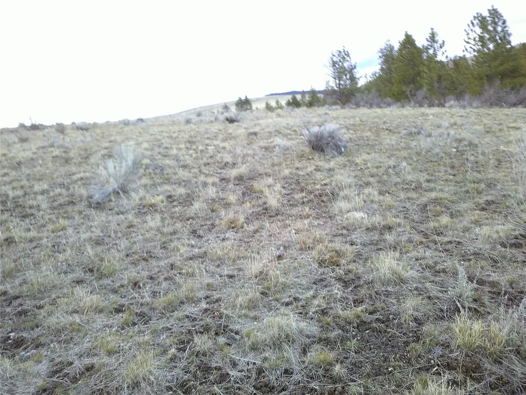 Nhn Browns Meadow Road Niarada MT 59845