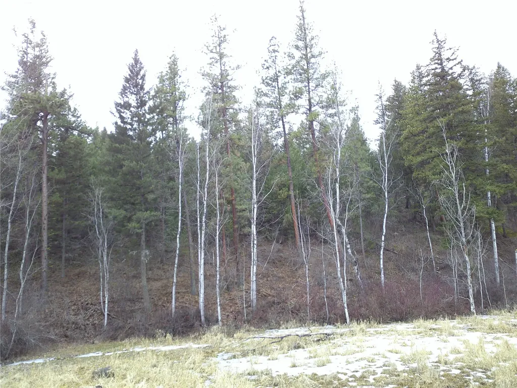 Nhn Browns Meadow Road Niarada MT 59845