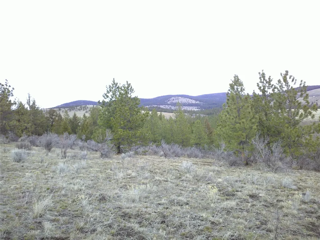 Nhn Browns Meadow Road Niarada MT 59845