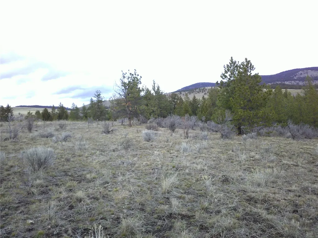 Nhn Browns Meadow Road Niarada MT 59845