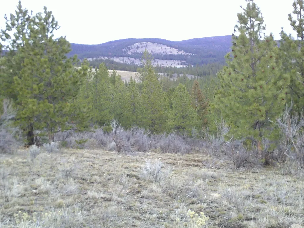 Nhn Browns Meadow Road Niarada MT 59845