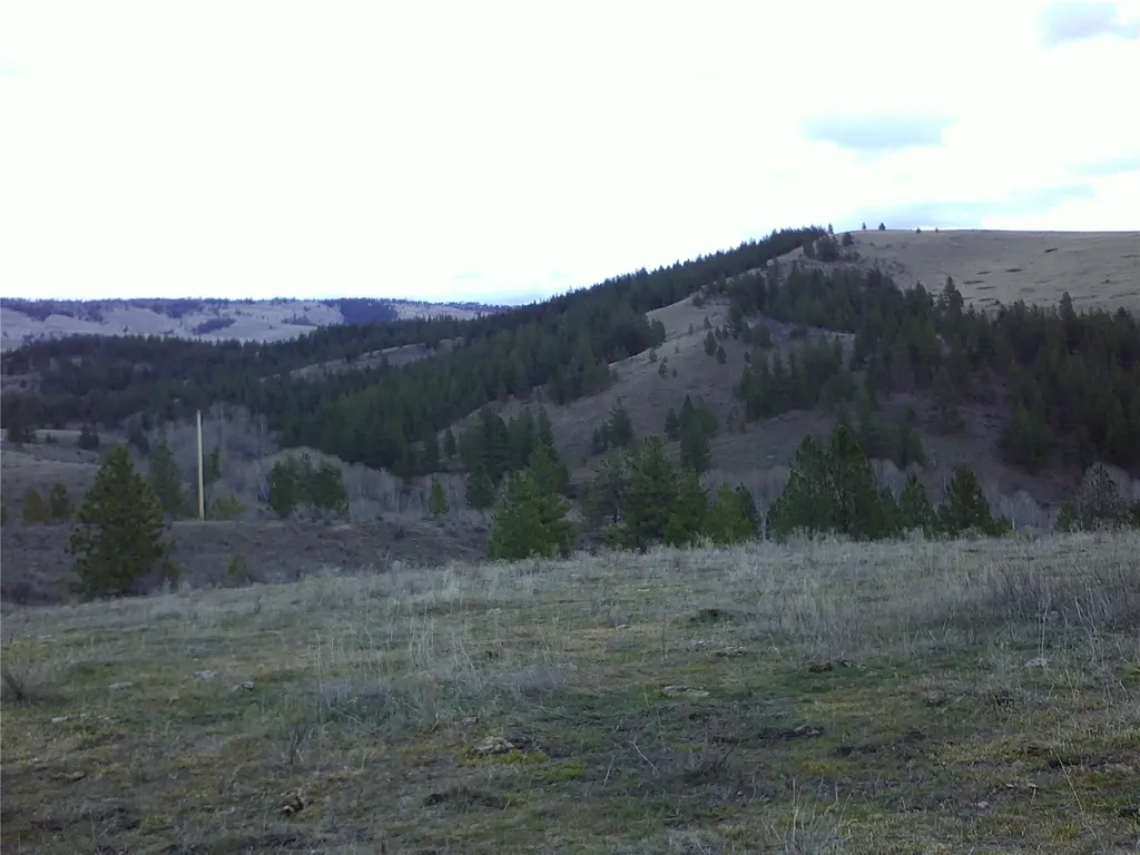 Nhn Browns Meadow Road Niarada MT 59845
