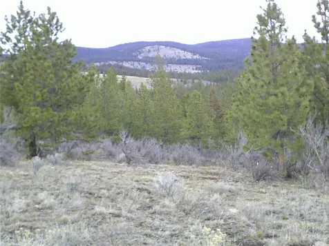 NHN Browns Meadow Road Niarada MT 59845