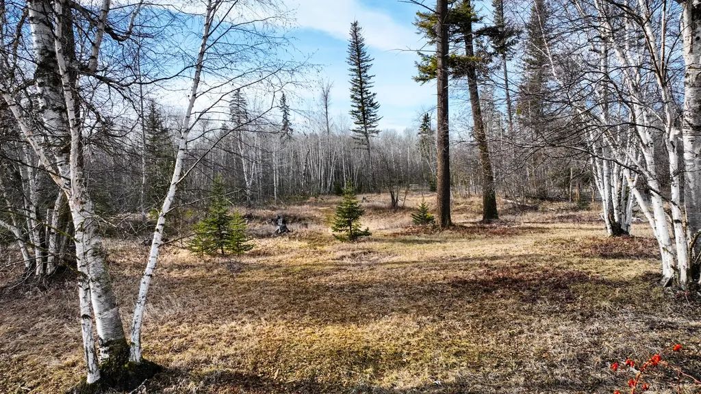 871 Conrad Drive Kalispell MT 59901