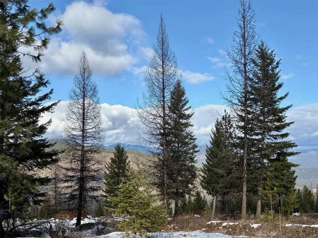 Lot 5 Panoramic View Drive Libby MT 59923