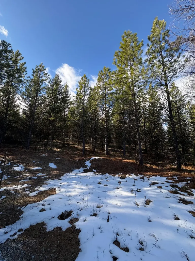 Lot 5 Panoramic View Drive Libby MT 59923
