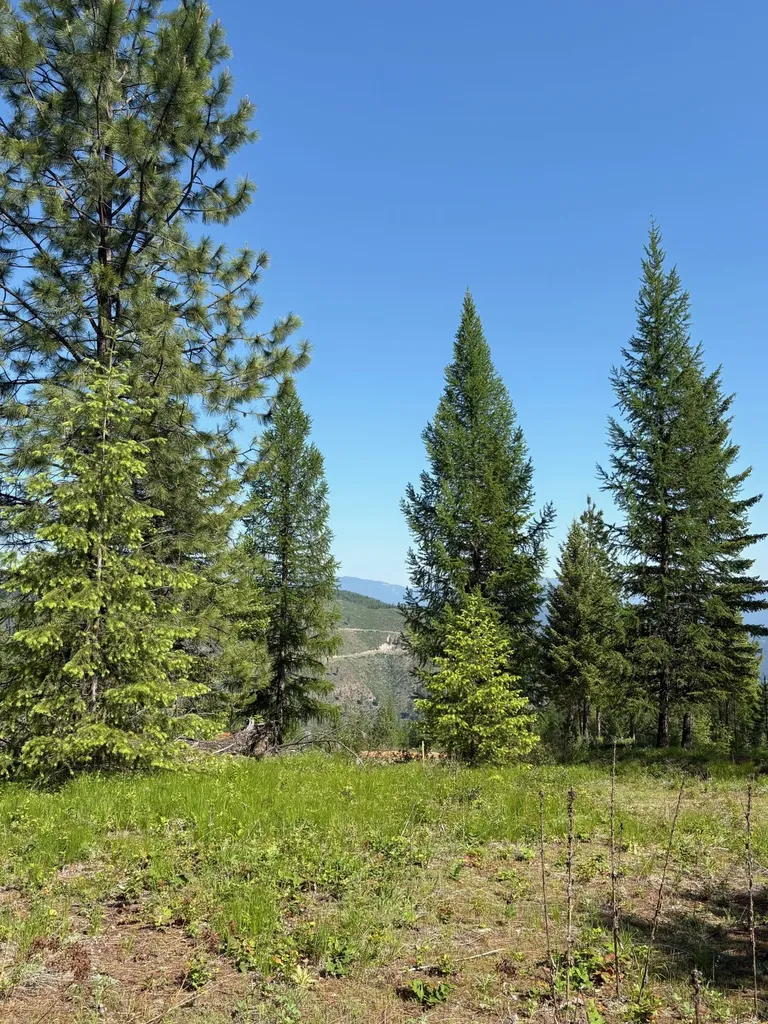 Lot 5 Panoramic View Drive Libby MT 59923