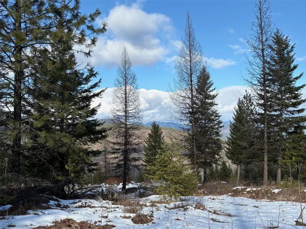 Lot 5 Panoramic View Drive Libby MT 59923