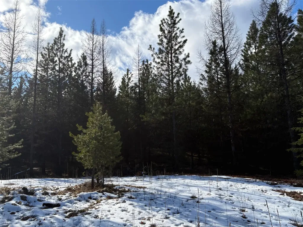Lot 5 Panoramic View Drive Libby MT 59923
