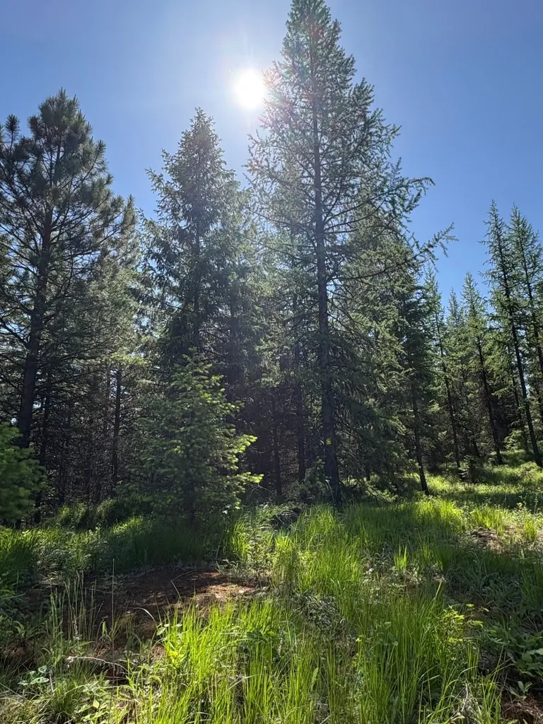 Lot 5 Panoramic View Drive Libby MT 59923