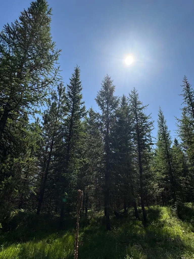 Lot 5 Panoramic View Drive Libby MT 59923