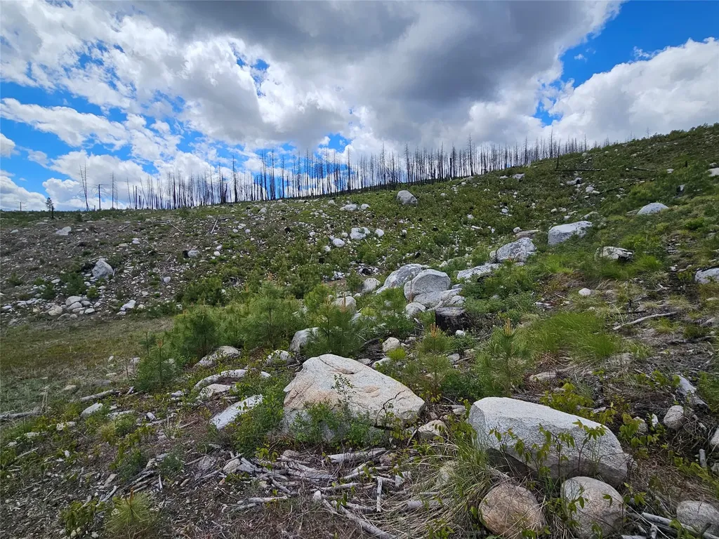 910 Judd Creek Hollow Hamilton MT 59840