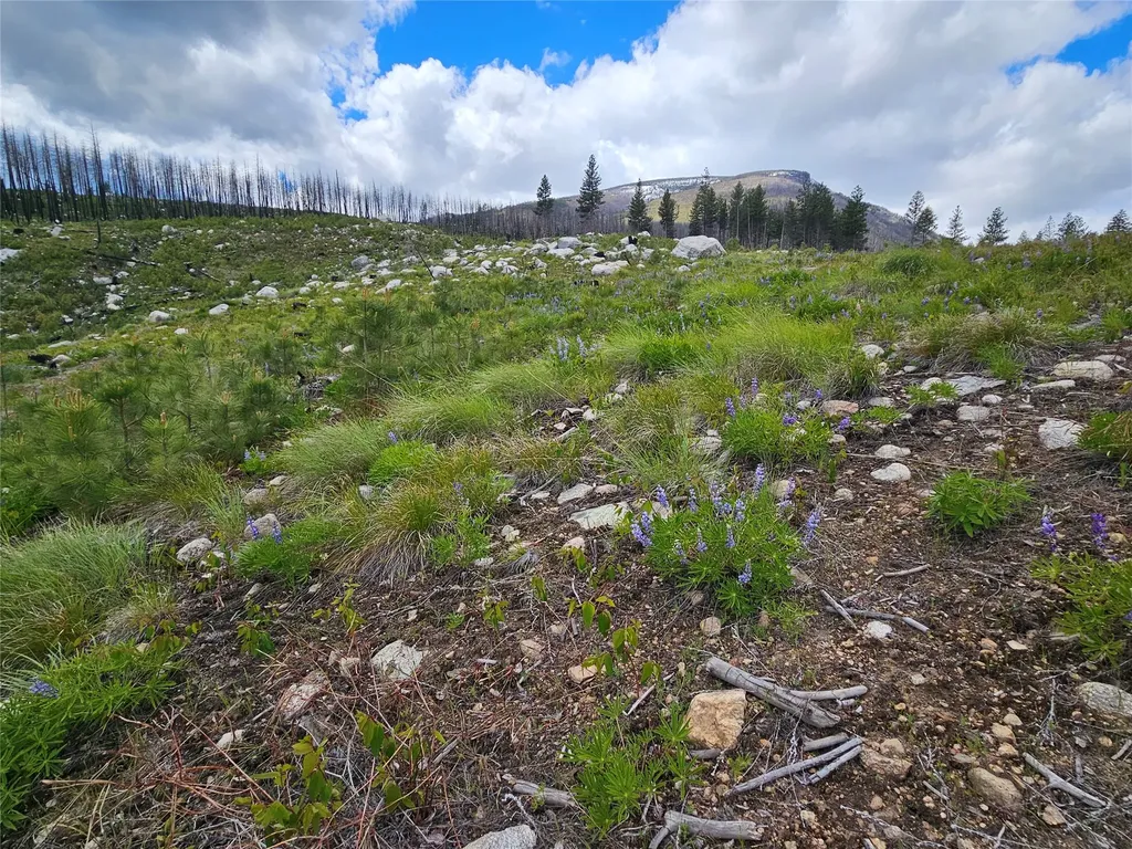 910 Judd Creek Hollow Hamilton MT 59840