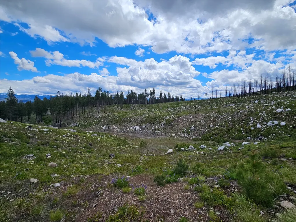910 Judd Creek Hollow Hamilton MT 59840