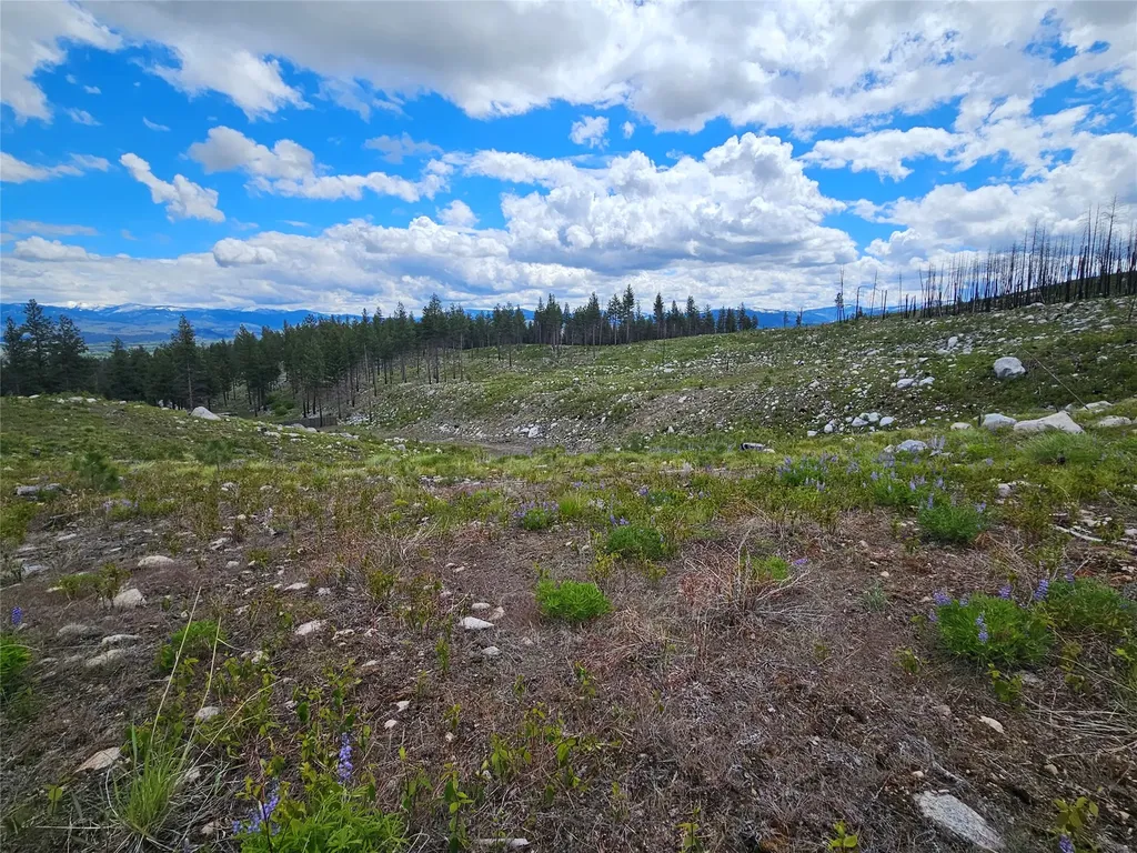 910 Judd Creek Hollow Hamilton MT 59840