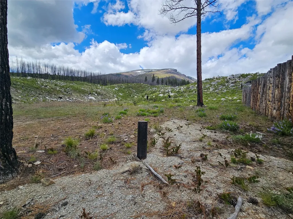 910 Judd Creek Hollow Hamilton MT 59840