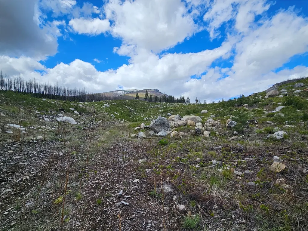 910 Judd Creek Hollow Hamilton MT 59840