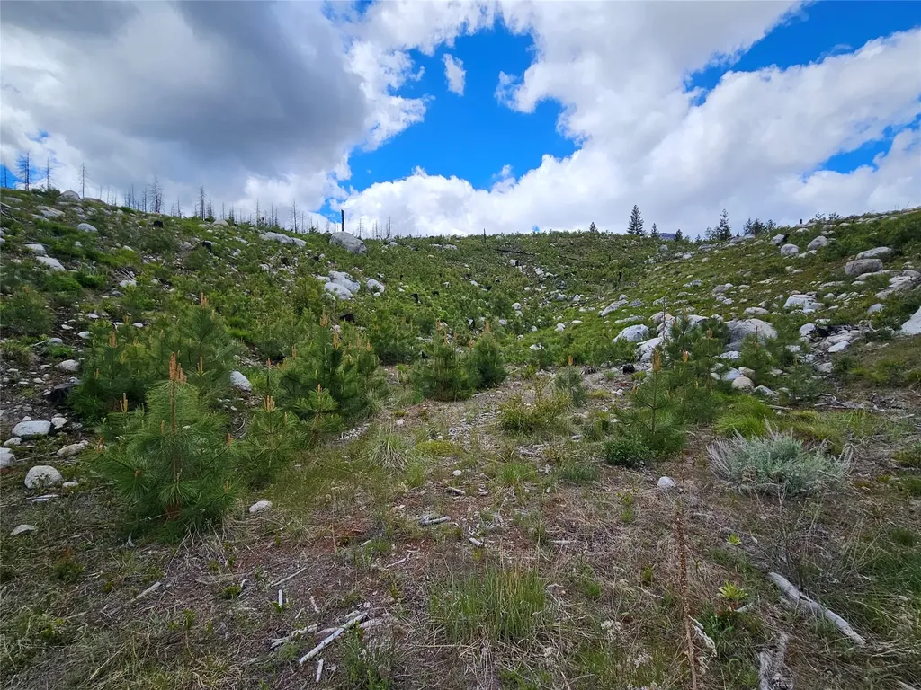 910 Judd Creek Hollow Hamilton MT 59840
