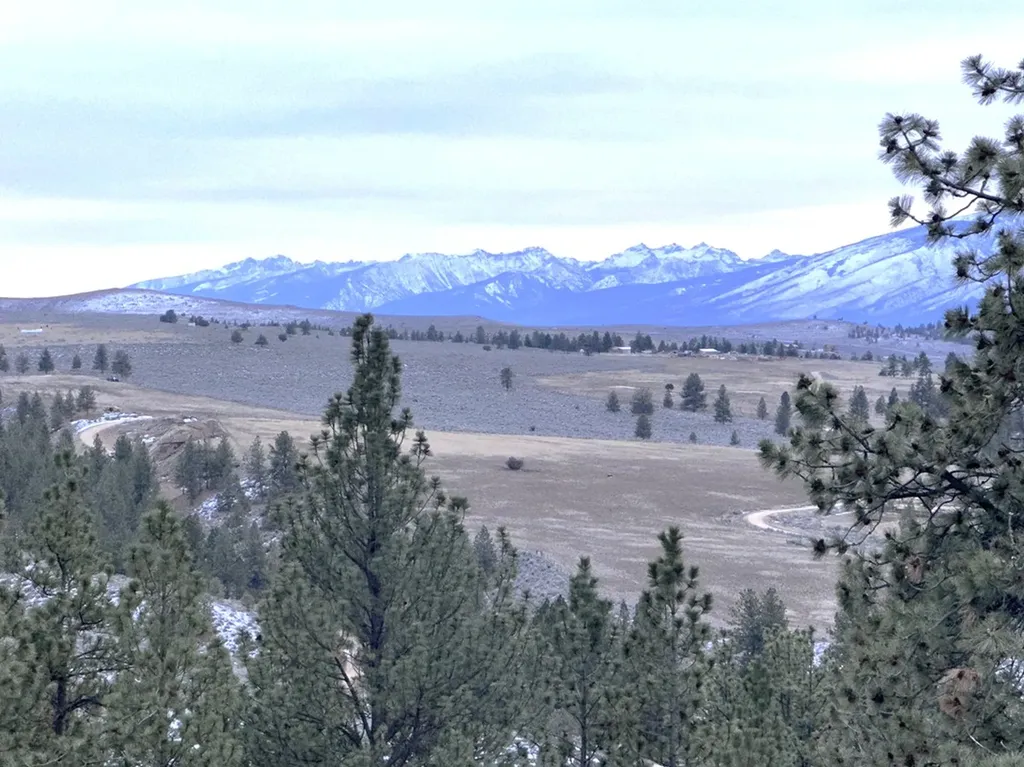 2155 S Sunset Bench Road Stevensville MT 59870