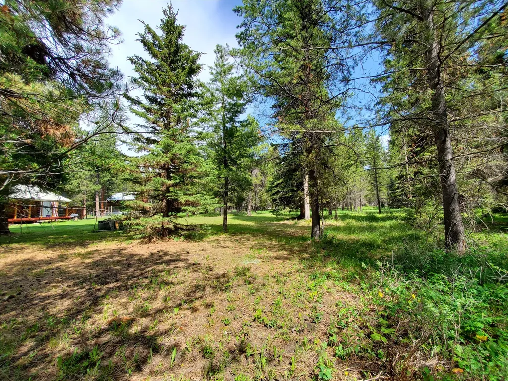 2469 Lincoln Springs Drive Lincoln MT 59639