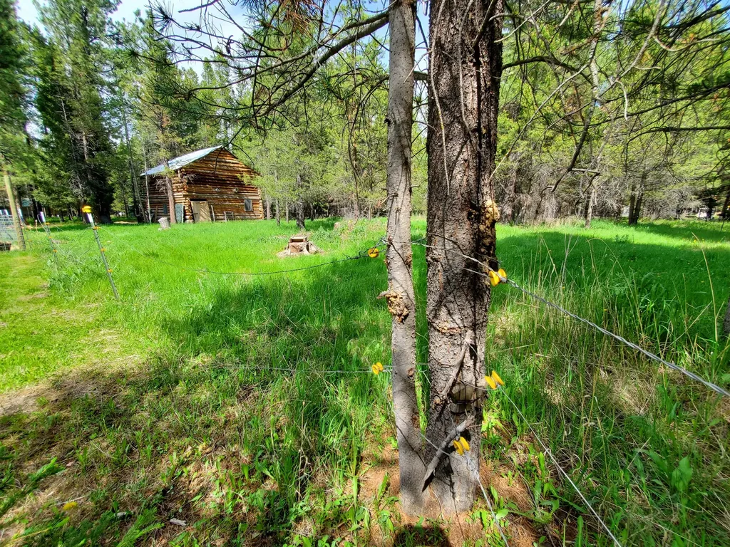 2469 Lincoln Springs Drive Lincoln MT 59639