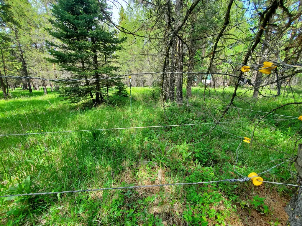 2469 Lincoln Springs Drive Lincoln MT 59639