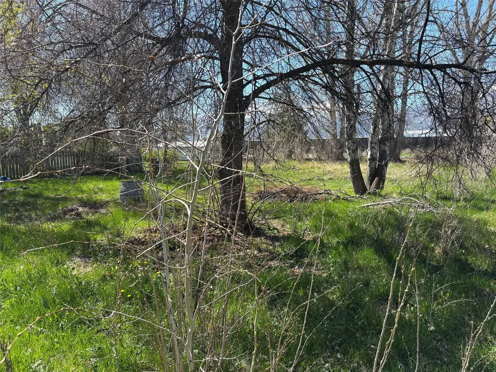 363 Cooper Lane Hamilton MT 59840