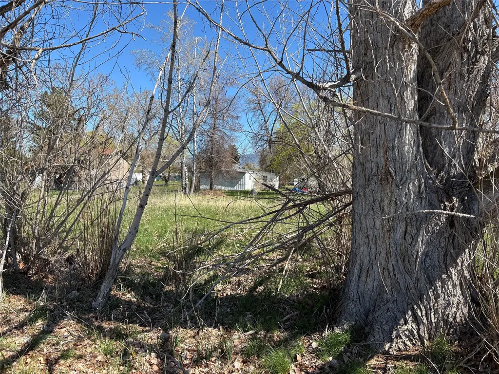 363 Cooper Lane Hamilton MT 59840