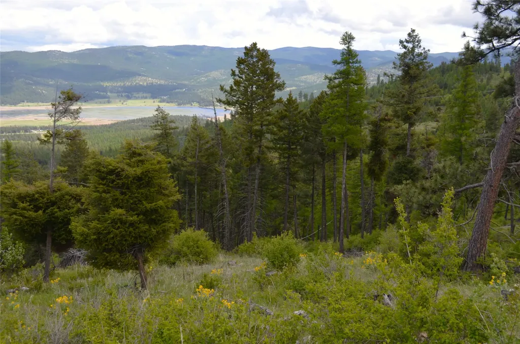 Nhn Bugler Trail Kila MT 59920