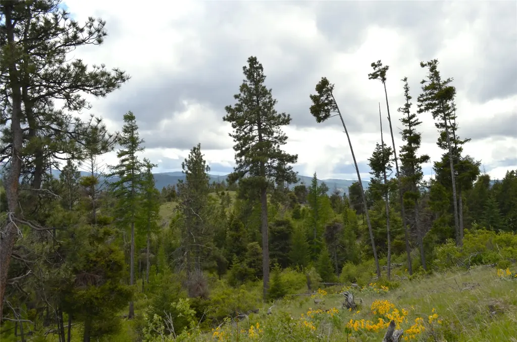 Nhn Bugler Trail Kila MT 59920