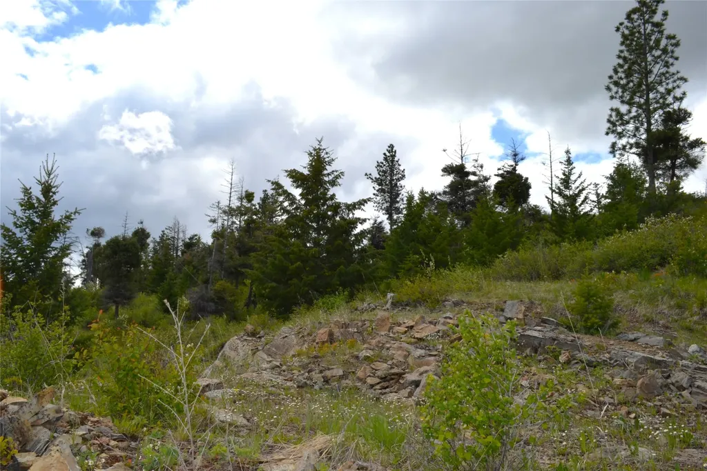 Nhn Bugler Trail Kila MT 59920