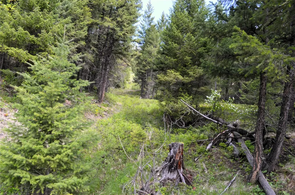Nhn Bugler Trail Kila MT 59920