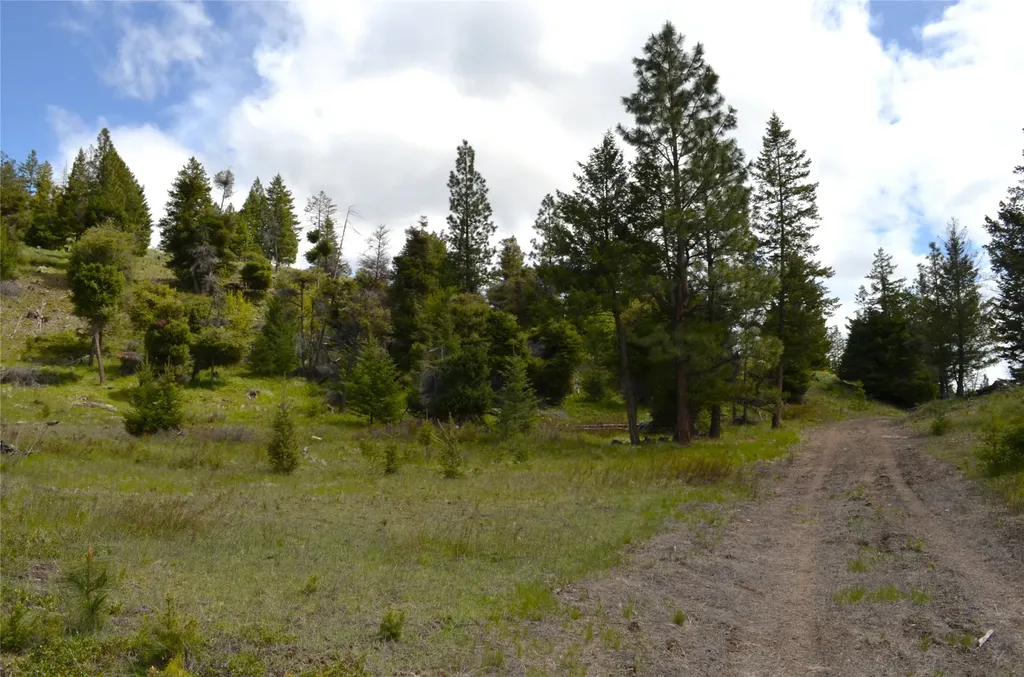 Nhn Bugler Trail Kila MT 59920
