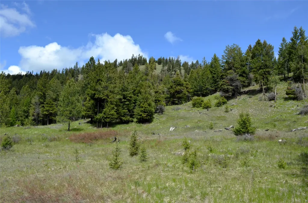 Nhn Bugler Trail Kila MT 59920