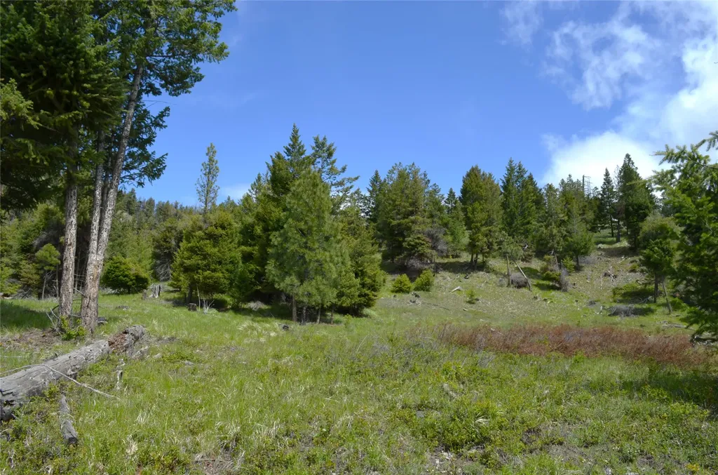 Nhn Bugler Trail Kila MT 59920