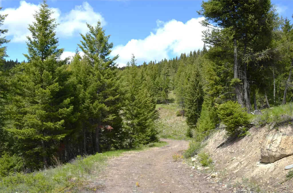 Nhn Bugler Trail Kila MT 59920