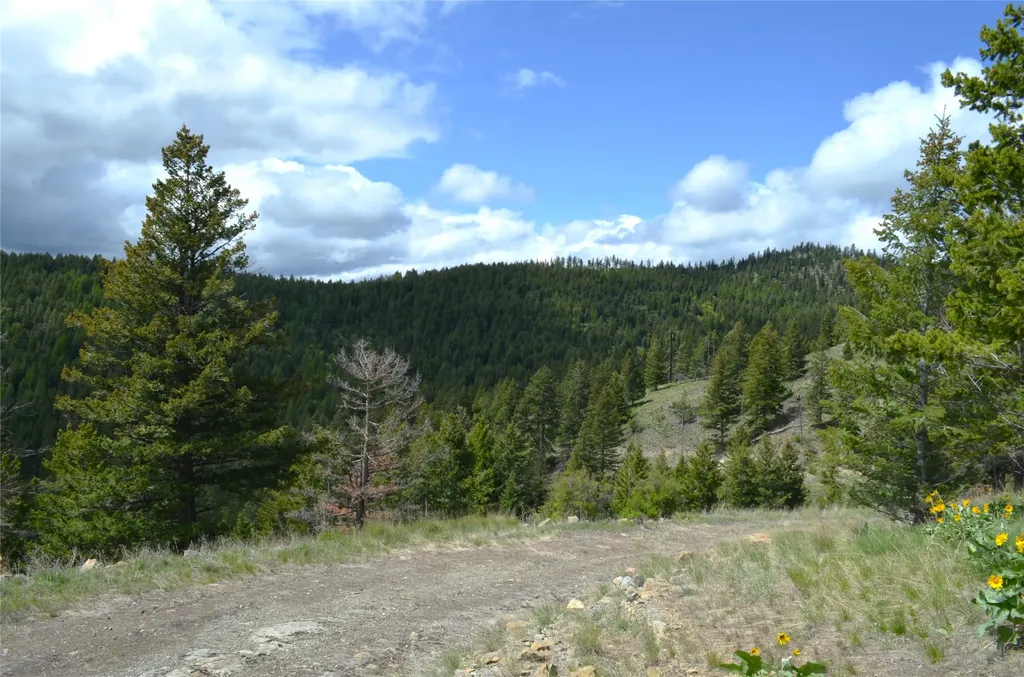 Nhn Bugler Trail Kila MT 59920