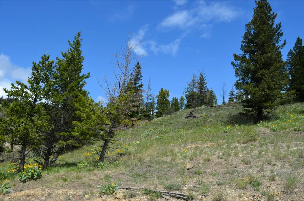 Nhn Bugler Trail Kila MT 59920