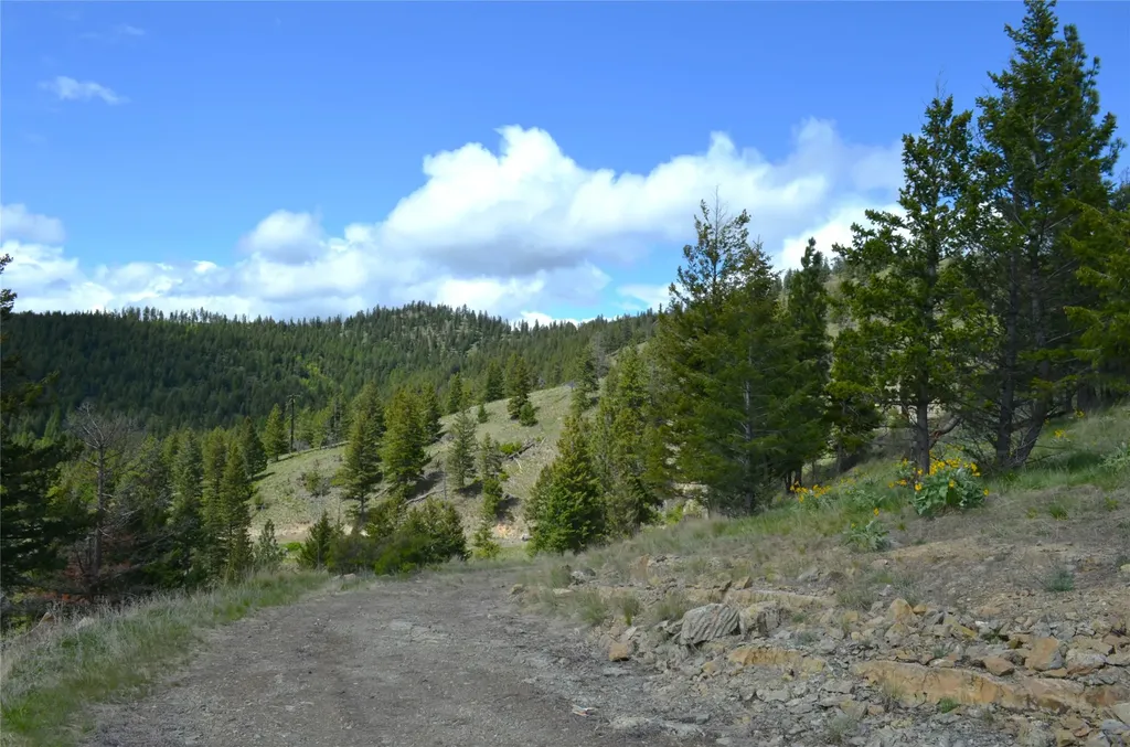 Nhn Bugler Trail Kila MT 59920