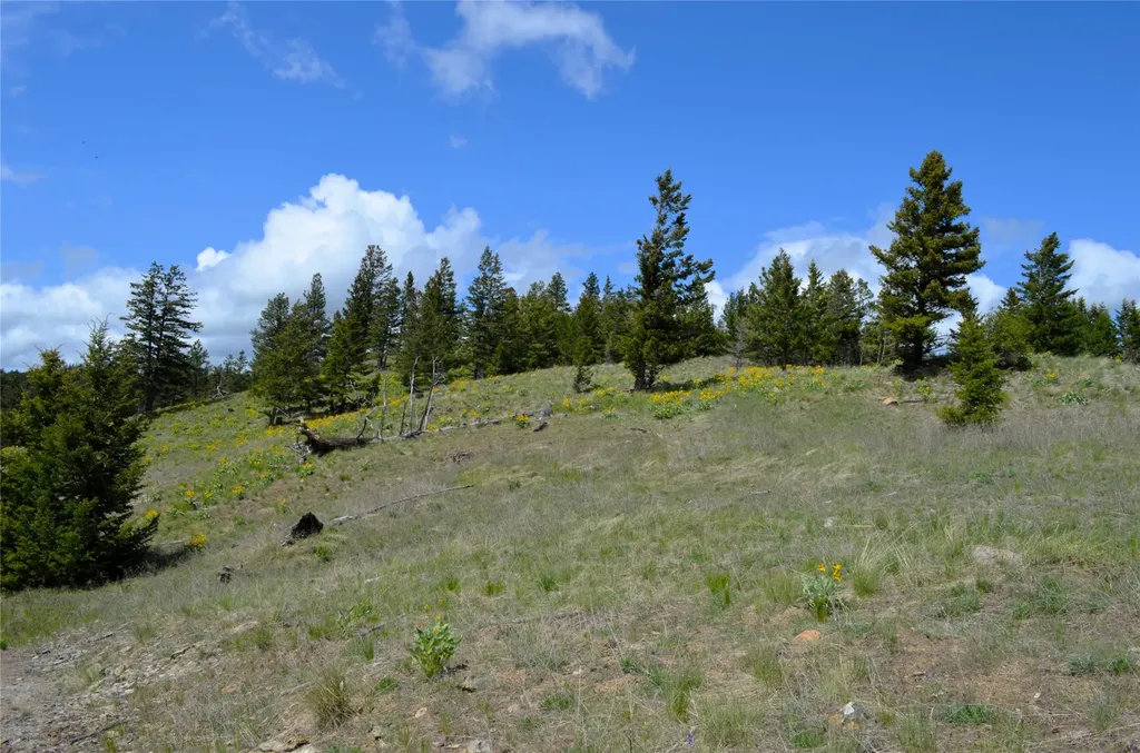 Nhn Bugler Trail Kila MT 59920