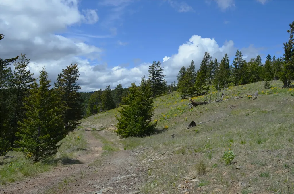 Nhn Bugler Trail Kila MT 59920