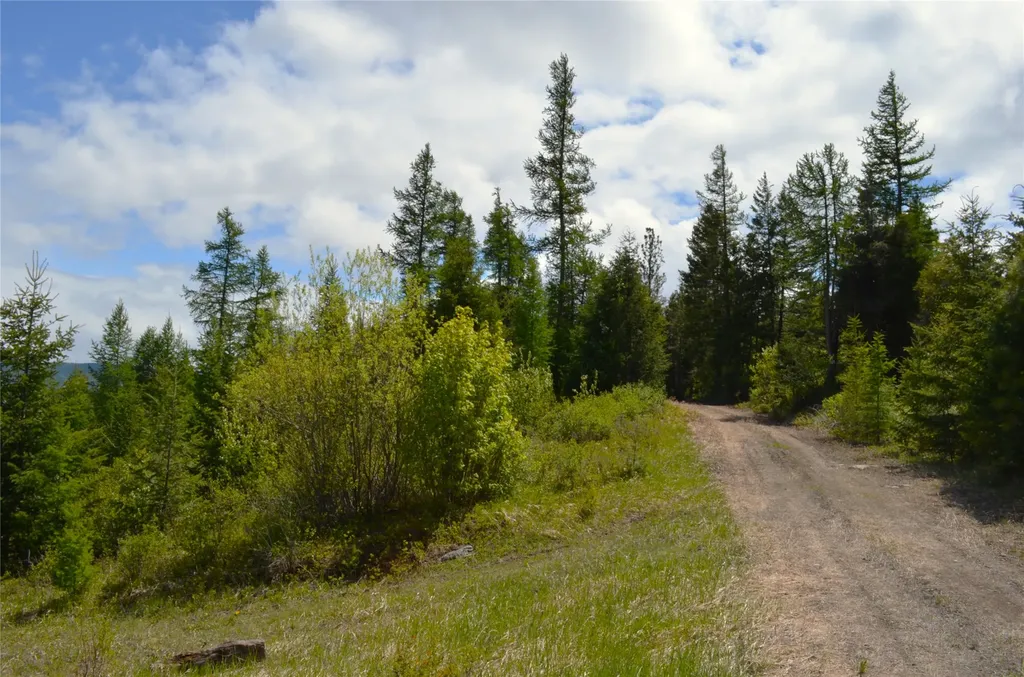Nhn Bugler Trail Kila MT 59920