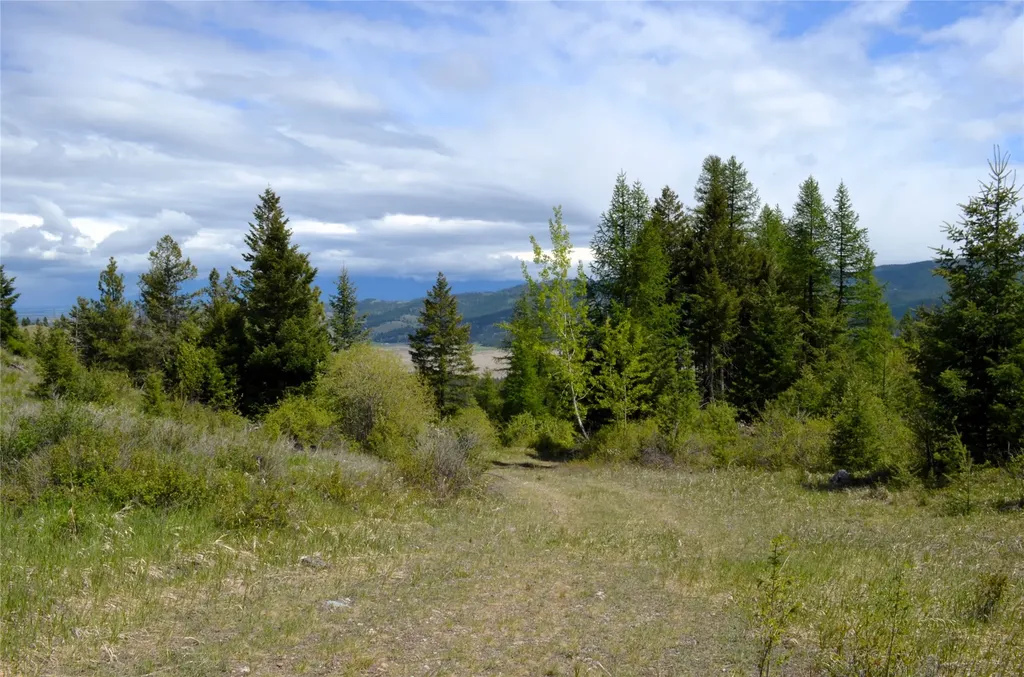 Nhn Bugler Trail Kila MT 59920