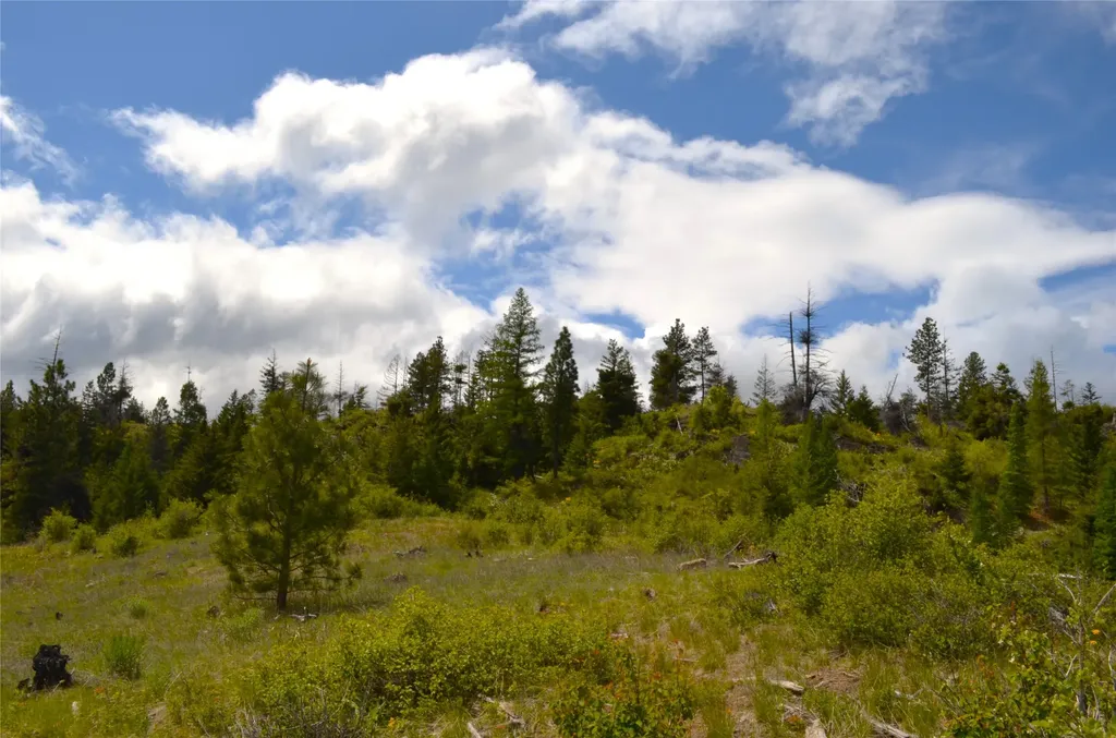 Nhn Bugler Trail Kila MT 59920