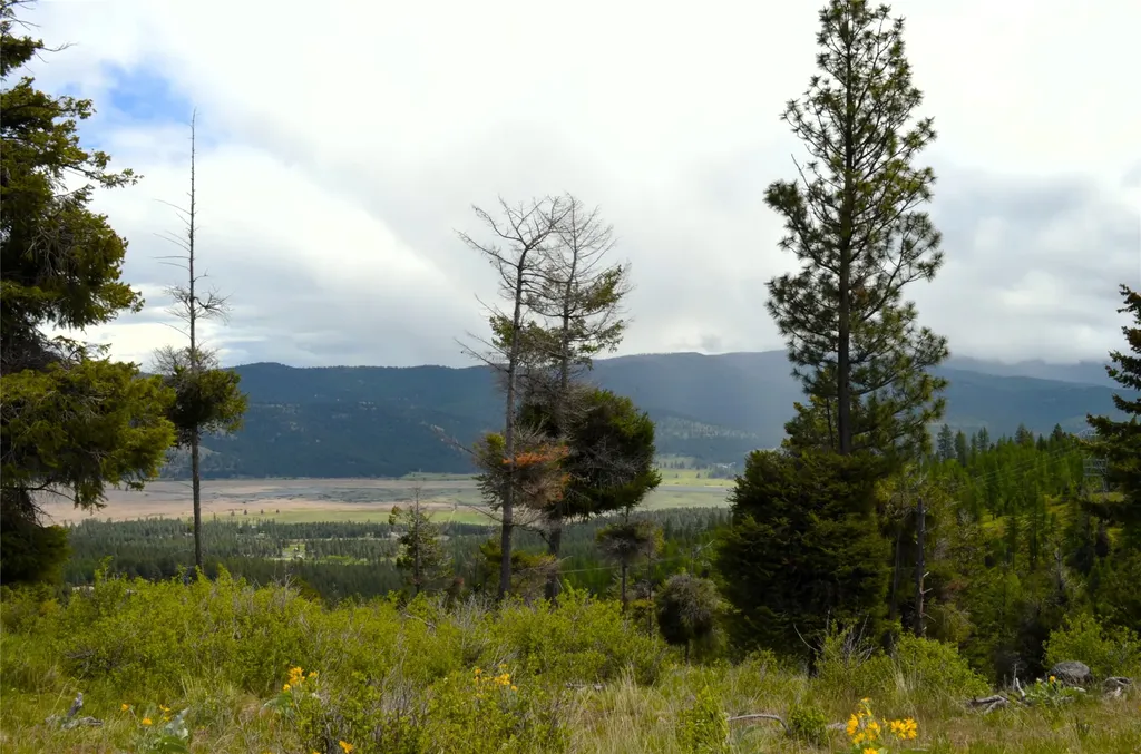 Nhn Bugler Trail Kila MT 59920